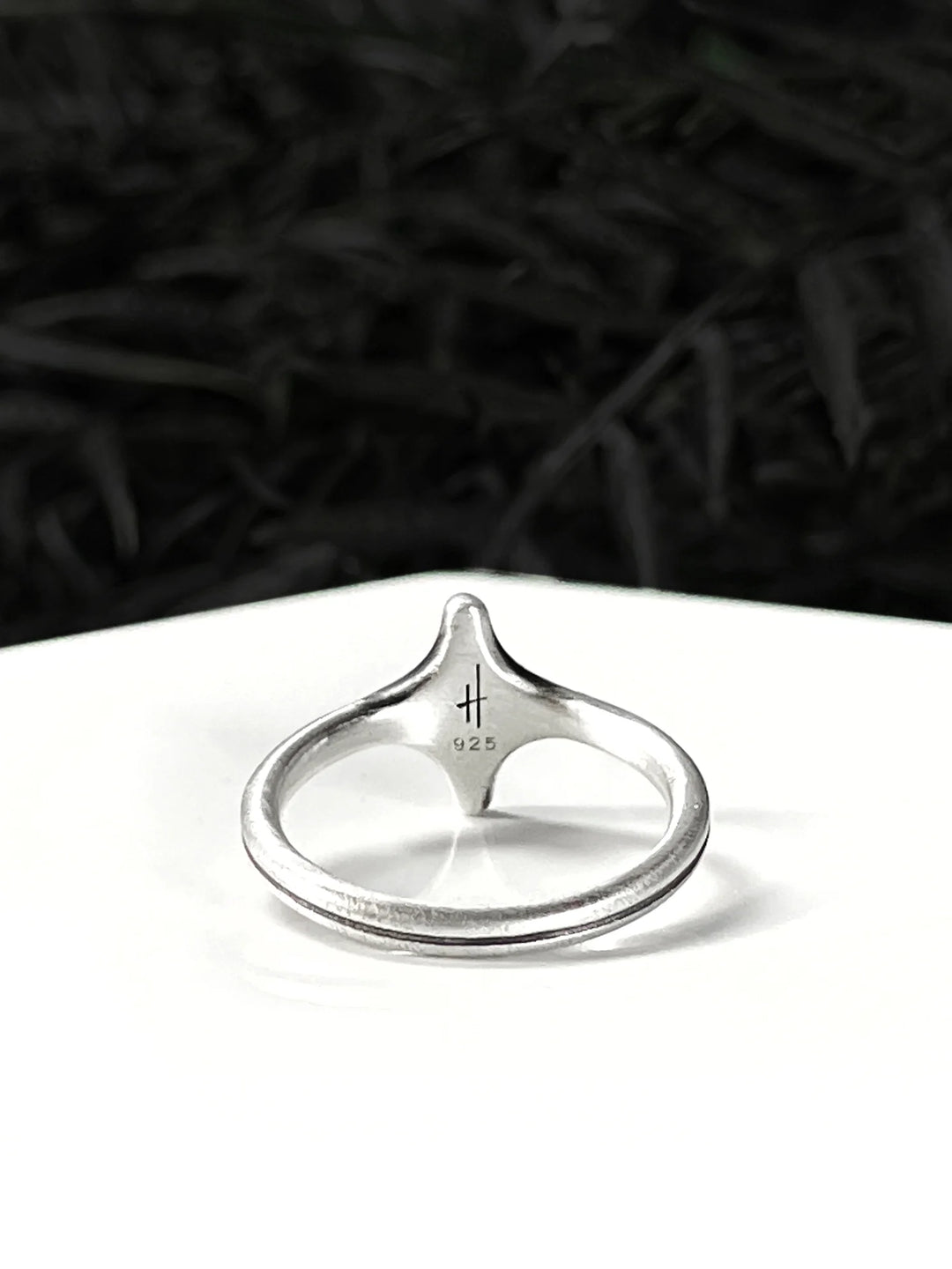 Interstellar Ring